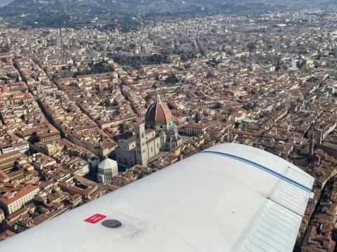mimose_su_firenze.jpg mimose_su_firenze.jpg
