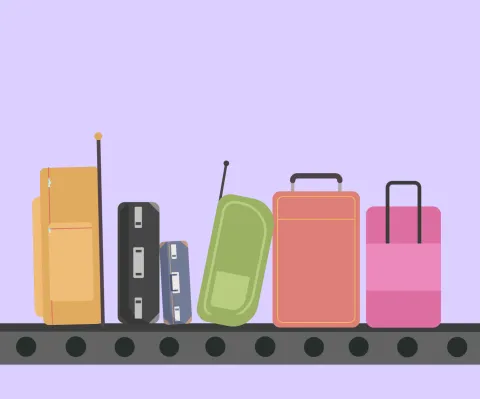 Esempio bagaglio da stiva